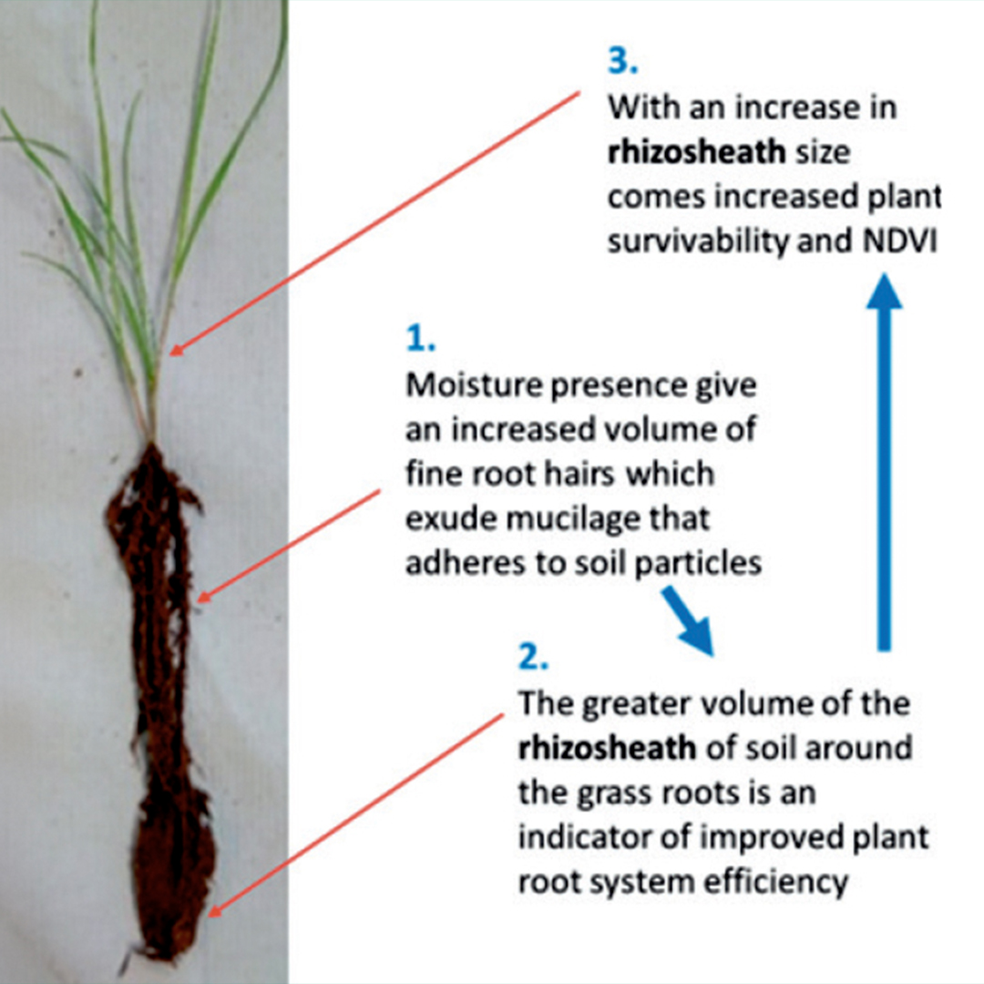 TourTurf® FTE Respond® Extreme Fine Turf Enhancer Wetting Agent  